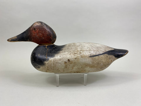 Mason Canvasback Drake Standard Grade 1920's (#8384)