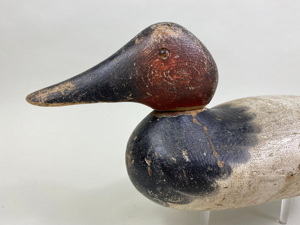 Mason Canvasback Drake Standard Grade 1920's (#8384)