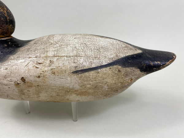 Mason Canvasback Drake Standard Grade 1920's (#8384)