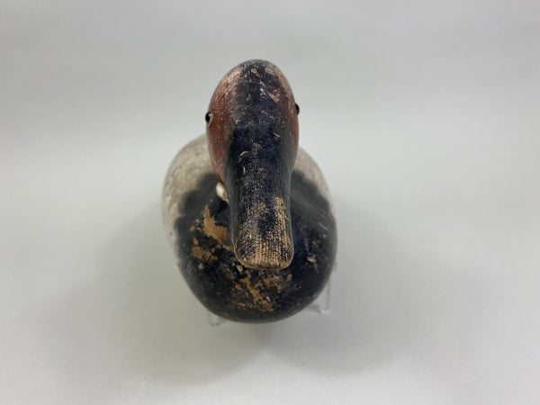 Mason Canvasback Drake Standard Grade 1920's (#8384)