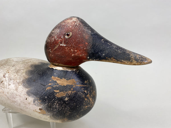 Mason Canvasback Drake Standard Grade 1920's (#8384)