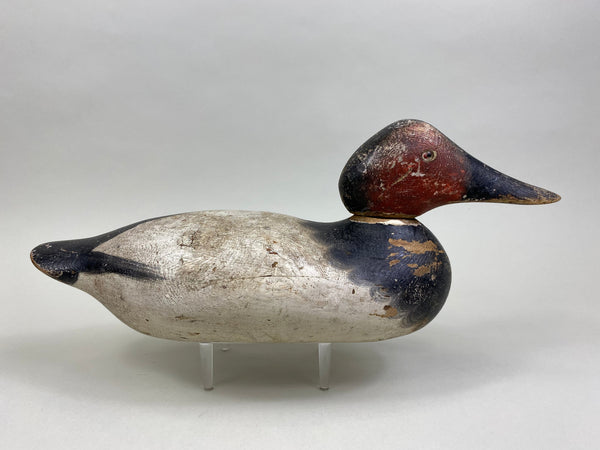 Mason Canvasback Drake Standard Grade 1920's (#8384)
