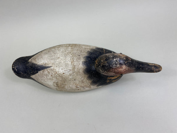 Mason Canvasback Drake Standard Grade 1920's (#8384)