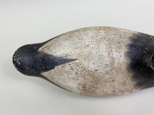 Mason Canvasback Drake Standard Grade 1920's (#8384)