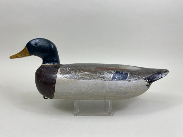 Charles Schoenheider Sr. Mallard Drake (#8397)