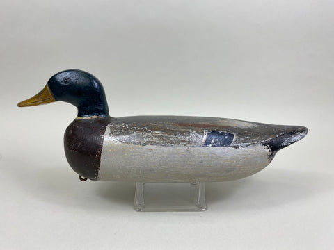 Charles Schoenheider Sr. Mallard Drake (#8397)