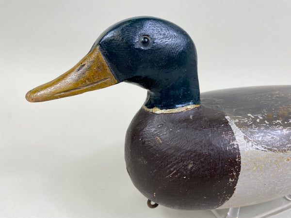 Charles Schoenheider Sr. Mallard Drake (#8397)