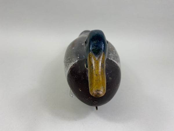 Charles Schoenheider Sr. Mallard Drake (#8397)