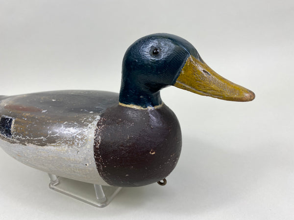Charles Schoenheider Sr. Mallard Drake (#8397)
