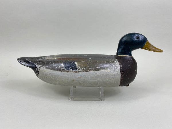 Charles Schoenheider Sr. Mallard Drake (#8397)