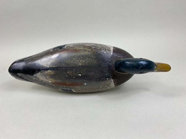 Charles Schoenheider Sr. Mallard Drake (#8397)
