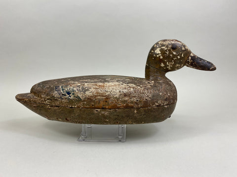 Rudolph Maurer Mallard Hen (#8401)