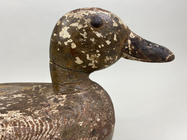 Rudolph Maurer Mallard Hen (#8401)