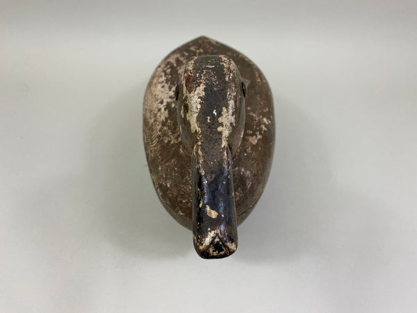 Rudolph Maurer Mallard Hen (#8401)