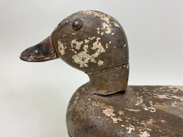 Rudolph Maurer Mallard Hen (#8401)