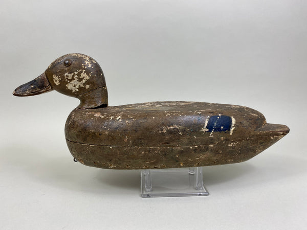 Rudolph Maurer Mallard Hen (#8401)