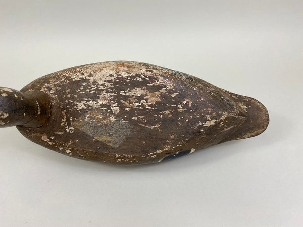 Rudolph Maurer Mallard Hen (#8401)