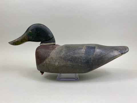 J. W. Cavanaugh Mallard Drake, Circa 1936 (#8402)