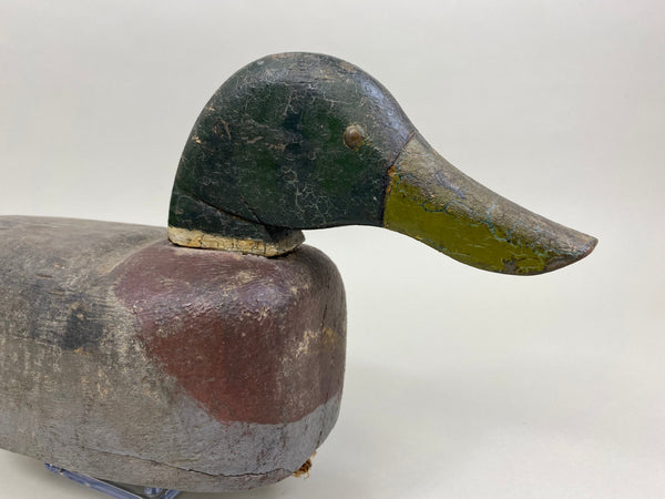 J. W. Cavanaugh Mallard Drake, Circa 1936 (#8402)