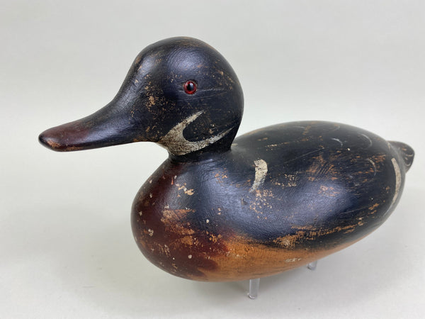 Mason Factory Wood Duck, Circa 1920's (#8404)
