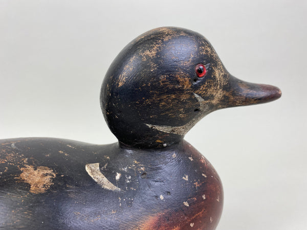 Mason Factory Wood Duck, Circa 1920's (#8404)