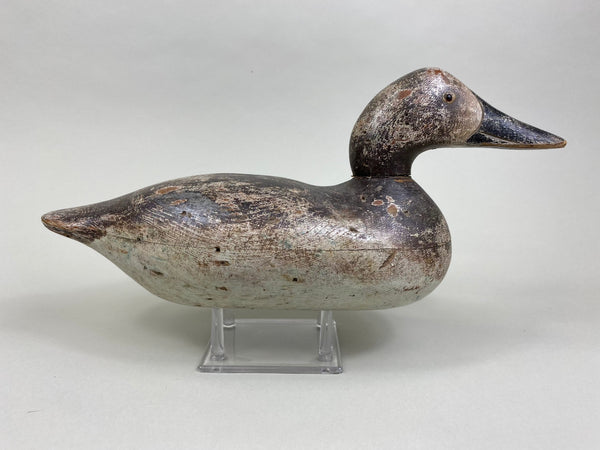 Rare Hollow Mason Canvasback Hen (#8428)