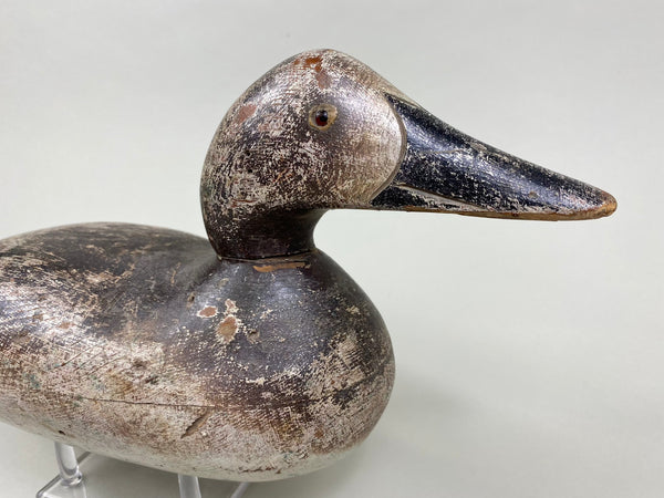 Rare Hollow Mason Canvasback Hen (#8428)