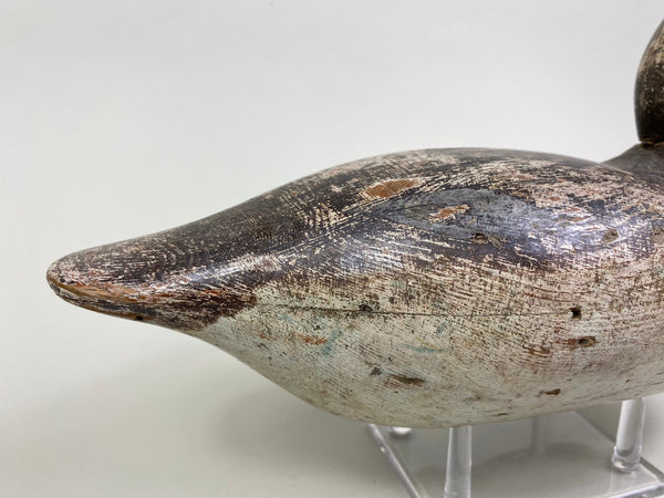 Rare Hollow Mason Canvasback Hen (#8428)