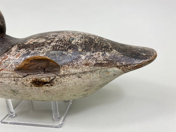 Rare Hollow Mason Canvasback Hen (#8428)