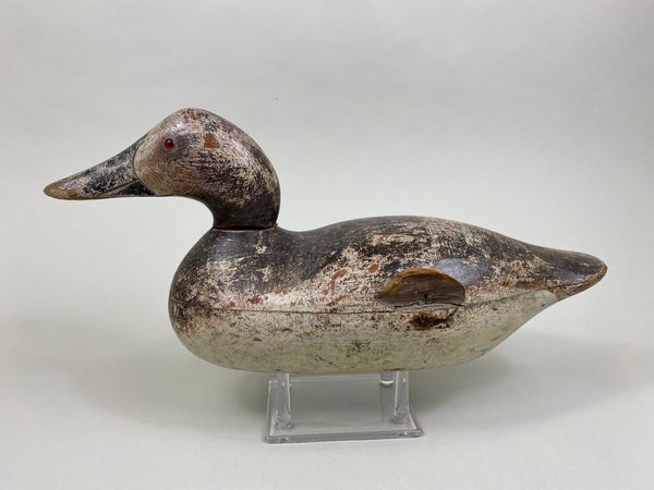 Rare Hollow Mason Canvasback Hen (#8428)