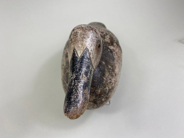 Rare Hollow Mason Canvasback Hen (#8428)