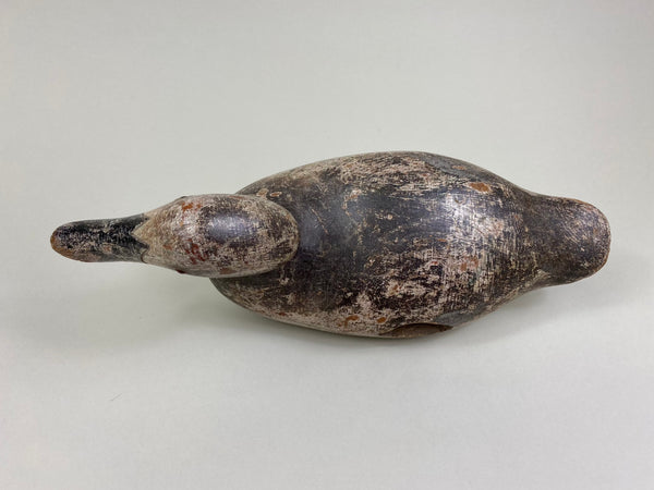 Rare Hollow Mason Canvasback Hen (#8428)