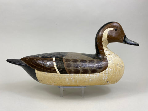 Charles Perdew Pintail Drake, Circa 1930's (#8429)