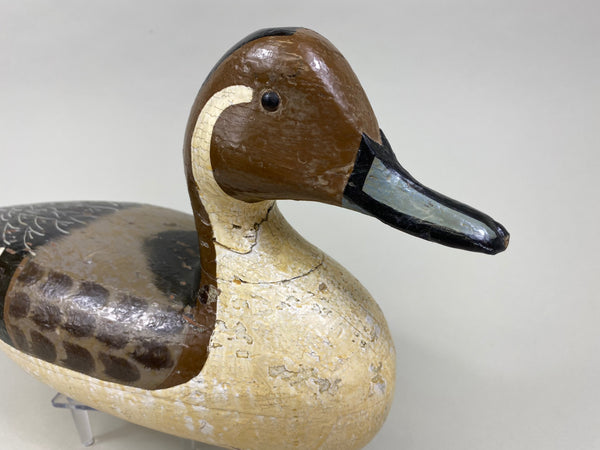 Charles Perdew Pintail Drake, Circa 1930's (#8429)