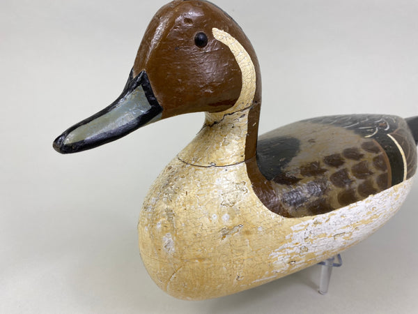 Charles Perdew Pintail Drake, Circa 1930's (#8429)