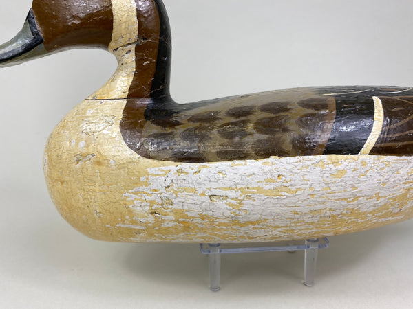 Charles Perdew Pintail Drake, Circa 1930's (#8429)