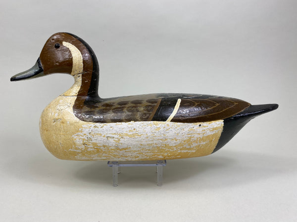 Charles Perdew Pintail Drake, Circa 1930's (#8429)