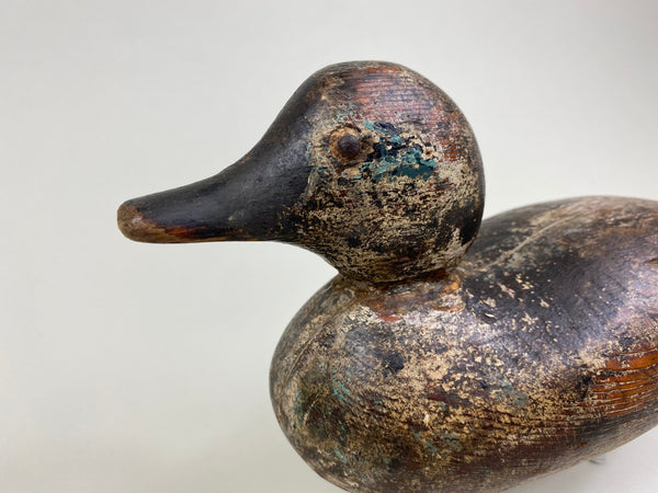 Mason Green-Winged Teal, Tack Eyes (#8432)