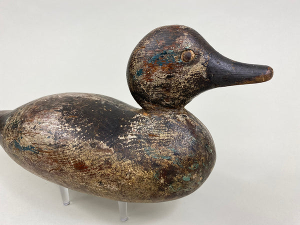 Mason Green-Winged Teal, Tack Eyes (#8432)