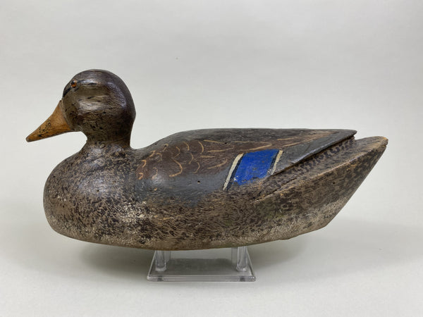 Carl Sattler Mallard Hen (#8434)