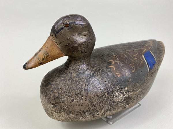 Carl Sattler Mallard Hen (#8434)