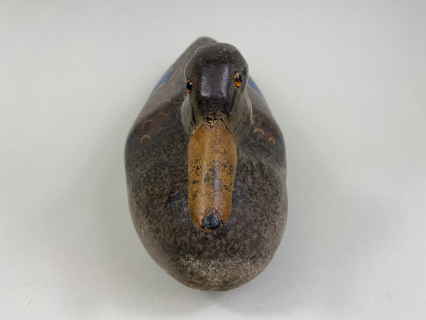 Carl Sattler Mallard Hen (#8434)
