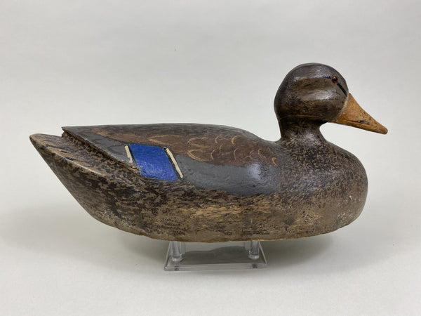 Carl Sattler Mallard Hen (#8434)
