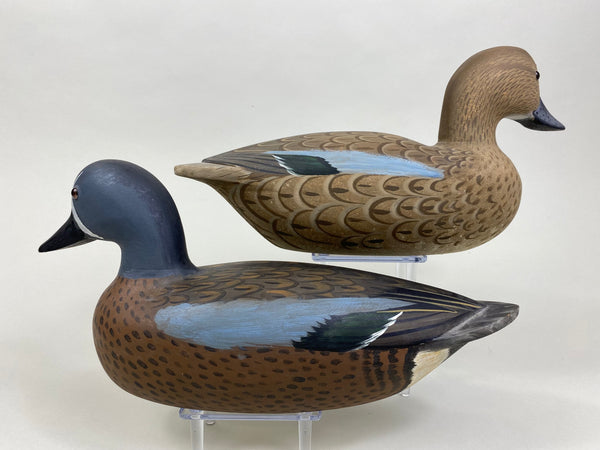 Virgil Lashbrook Blue-Wing Teal Pair (#8442)