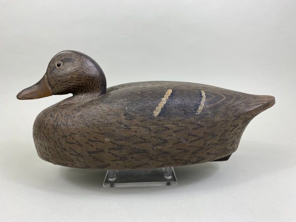 Clarence Jacobsgaard Mallard Hen (#8486)