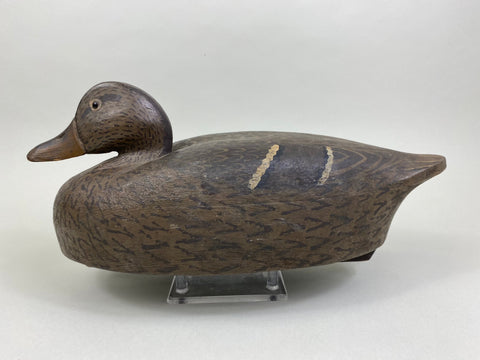 Clarence Jacobsgaard Mallard Hen (#8486)