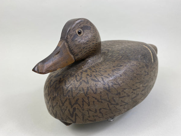 Clarence Jacobsgaard Mallard Hen (#8486)