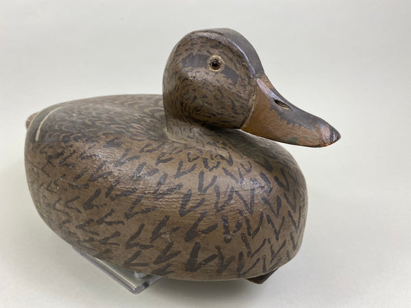 Clarence Jacobsgaard Mallard Hen (#8486)