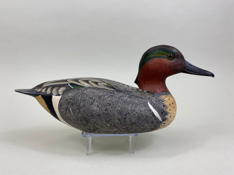 Lou Reineri Green Winged Teal (#8495)