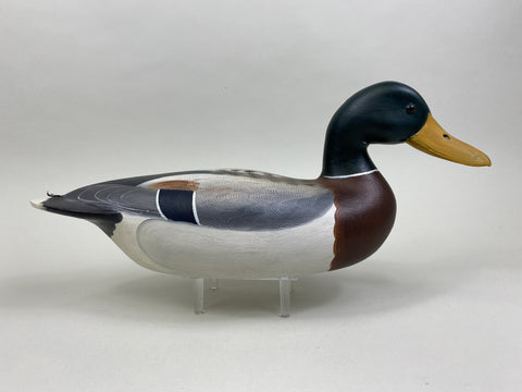 Robert Weeks Mallard Drake (#8498)